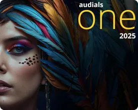 Audials One 2025 [PC Download]