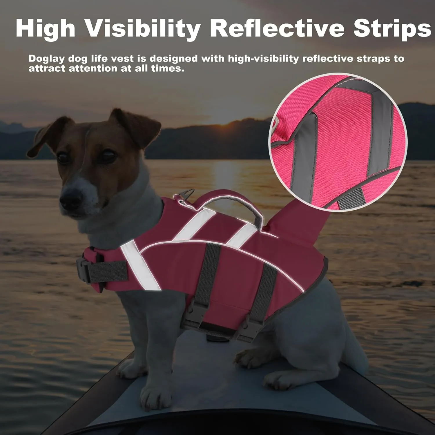 Doglay Dog Life Jacket Shark, Dog Life Vest for Swimming and Boating, High Visibility & High Flotation Swimming Vest with Rescue Handle, Adjustable Puppy Lifesaver for Small Medium Large Dogs