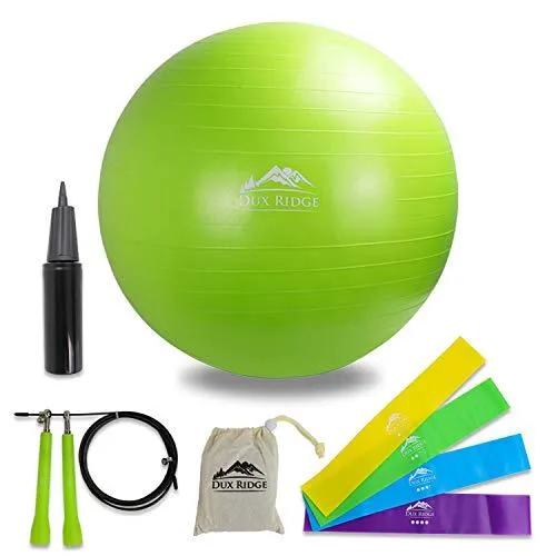 Dux Ridge Workout Pack Includes 65cm Yoga Exercise Ball/Chair with Pump - 3m Aluminium Jump Rope - 4 Progressive Loop Bands   Workout Guide to get You Started.