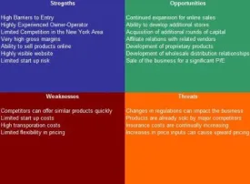 Portable Toilet Rental Service SWOT Analysis Plus Business Plan