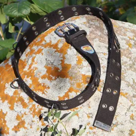 System Belt