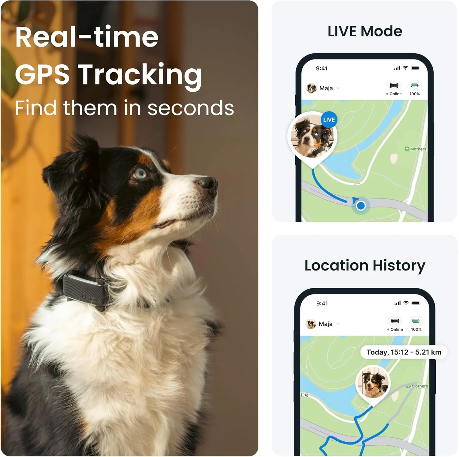 Tractive GPS Dog Tracker (2025 Release with Free 6 Month Subscription) | Real-time Pet Location Tracker | Health & Wellness Alerts | Virtual Fence for Dogs | Bark Monitoring (Black)